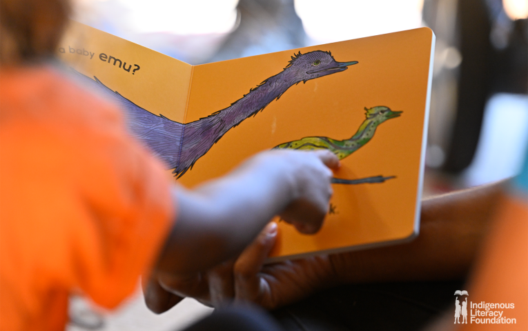 A child pointing at a book with picture of an emu